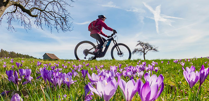 Abbildung: Frühjahrsmüdigkeit – mehr Energie im Frühling 